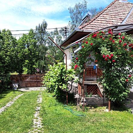Casa De Vacanta Zsenik Vendeghaz سوفاتا المظهر الخارجي الصورة