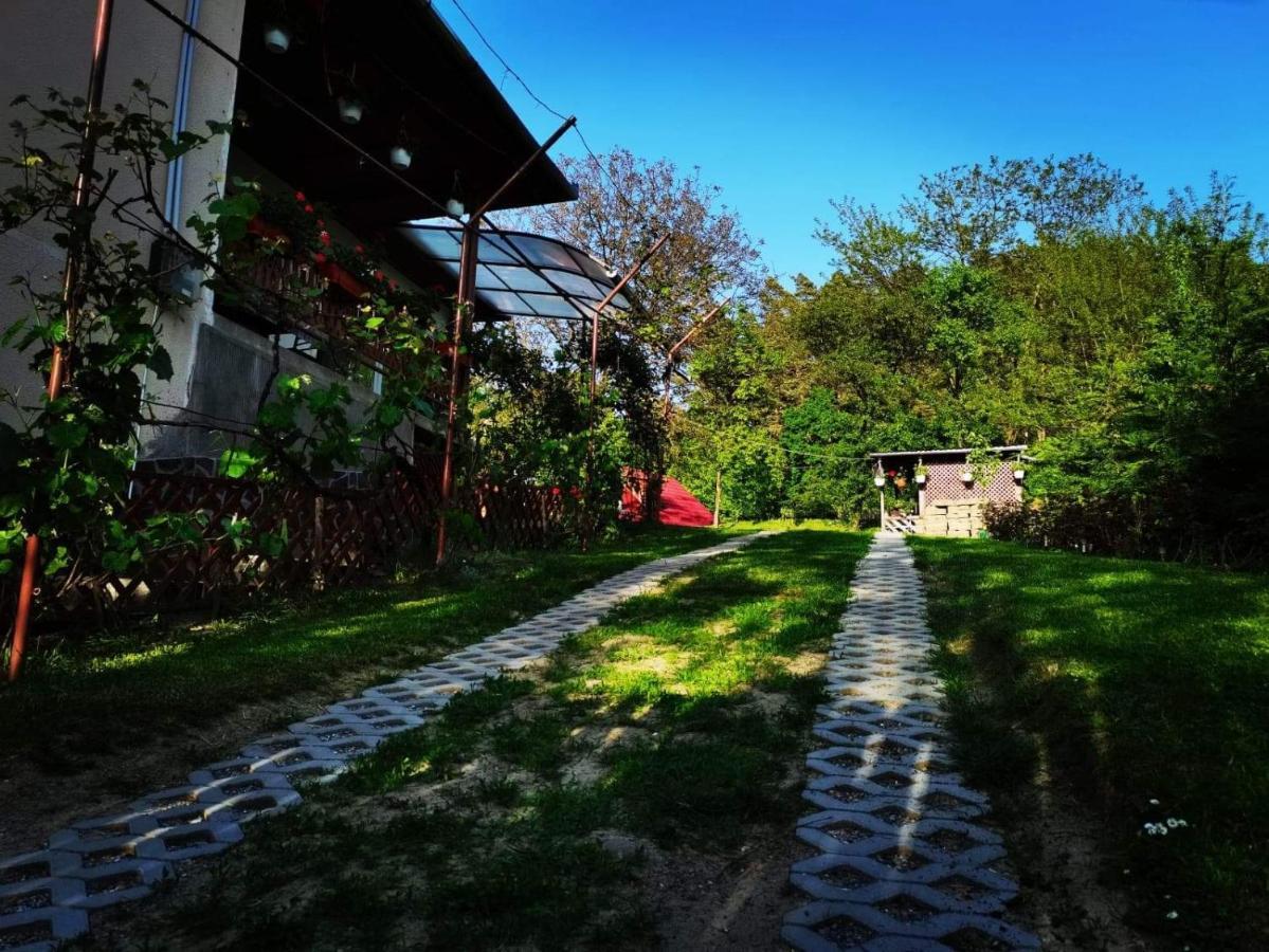 Casa De Vacanta Zsenik Vendeghaz سوفاتا المظهر الخارجي الصورة