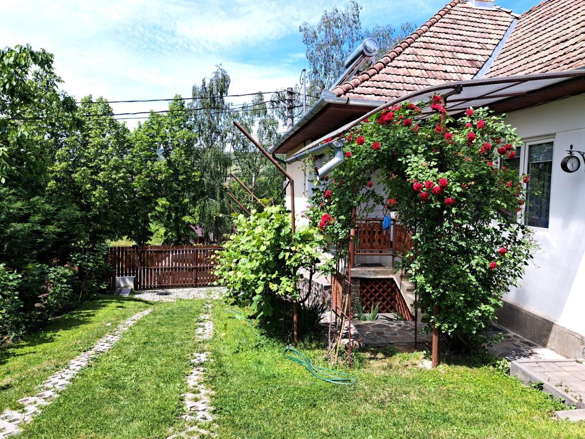 Casa De Vacanta Zsenik Vendeghaz سوفاتا المظهر الخارجي الصورة